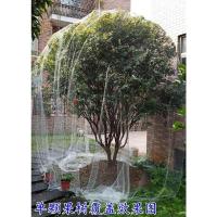5米宽5米长[覆盖1.5米高果树] 防鸟纱网果树用网防小鸟的丝网樱桃网罩枇杷别墅家用单颗果树