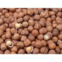 原味250g 干果张 野生现炒平榛子500g 坚果炒货