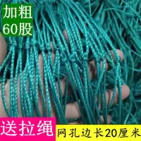 60股20厘米1米宽5米长送拉绳 爬藤网种植网百香果专用网月季豆角丝瓜黄瓜罗汉果植物藤蔓搭架网