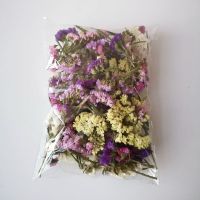 勿忘我 混色 干花包 云南干花天然七彩真花太阳雏菊装饰花瓶摄影道具手工干花DIY材料