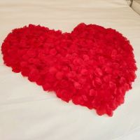 大红花瓣12包-O85 520仿真玫瑰花瓣结婚纪念日求婚表白生日趴装饰浪漫惊喜房间布置