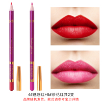 04+09共2支 淘金币兑换2支唇线笔不易脱色自然丰盈初学者勾勒裸色哑光咬唇妆