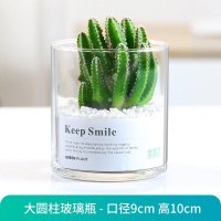 万重山[玻璃瓶]+小米石+营养土 裸根不带土 盆公盆卉花物防人植绿掌物花球开仙办植仙栽辐内多肉室植人射ti室