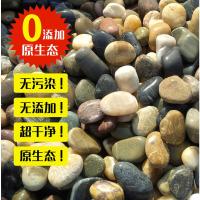 40斤 生态石3-5cm乒乓球大小 鹅卵石雨花石小石子天然原石鱼缸花盆鹅软石庭院装饰园艺五彩石头