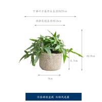 覆膜绢白绿凤尾蕨与小草筐 九思仿真绿植软胶绿萝小盆景北欧桌面盆栽家居办公植物装饰art362