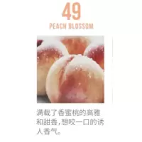 49水蜜桃70ml 其他/other 买二减3!W.dressroom多丽丝衣物香氛喷雾田柾国四月棉水蜜桃去味