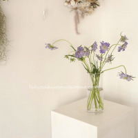 特大号高约35CM 韩国ins简约百搭圆形直筒透明玻璃花瓶水培花器插花家居软装摆件