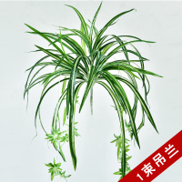 一束胶片金边吊兰 仿真吊兰植物盆栽绿植吊篮装饰花室内壁挂阳台塑料花垂吊假花摆设
