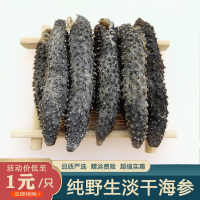 [小号刺参3-4厘米/只]50只 野生淡干海参干货50-500g克散装特价小刺参孕妇非鲜活即食辽刺参