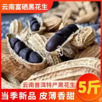 黑花生1斤(带壳) 云南普洱特产富硒黑花生带壳晒干生花生500g老品种黑花生紫皮小粒