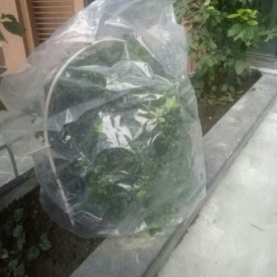 加厚款宽115*220cm一只装 花盆摆摊用遮雨罩防寒罩套暖房阳台保暖套盆景防冻罩花罩菜地暖棚