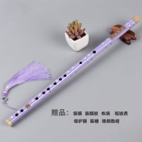 紫色笛子+赠品G调 笛子初学横笛 一节零基础入门古风乐器efg苦竹笛白紫黑色送挂件