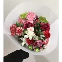 多头混色15-18支/扎 康乃馨(推荐) 不含花瓶 鲜花康乃馨鲜花鲜花家用插花送花多头康鲜切花花篮配花艺