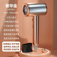 奢华金1800W蓝光负离子护发 李佳琪推荐德国电吹风机家用负离子护发大功率宿舍用学生冷热风筒