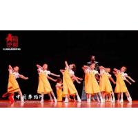 浅黄色 背带裤 100(94-104) 六一儿童演出服女童幼儿园纱裙可爱公主裙合唱舞蹈服蓬蓬裙表演服