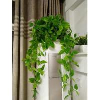 带盆子 客厅空调上的装饰花吊兰绿植大叶子绿萝大盆垂下来仿真花布置装饰
