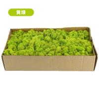 黄绿款(鹿蕊藓) (500g) 永生苔藓植物装饰鹿蕊藓白发藓微景观绿植墙背景墙仿真苔藓植物墙