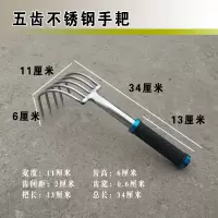 五齿耙 园艺五齿不锈钢耙子园林庭院种植赶海挖蛤工具松土钢耙6齿小锄头