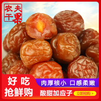 500g(独立小包装) 加应子梅500g*2袋广东特产嘉应子李子干西梅梅干散装凉果蜜饯果脯