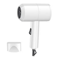 白色-450w[低功率体验款] 电吹风机大功率家用蓝光负离子护发学生宿舍无声静音小型速干风筒