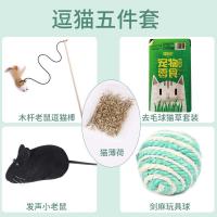 5件套 猫咪玩具套餐套装自嗨逗猫棒宠物用品老鼠幼猫己玩喜欢的鱼不倒翁