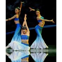 宝蓝色裹胸下裙 全套 L 艺考培训练习裙女成人儿童喜水演出服傣族舞蹈表演服装渐变鱼尾裙