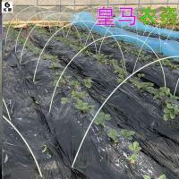 4毫米粗1米长20根跨度0.5-0.6米 弹力棒帐篷拱棚支架架子地膜园艺内保温遮阳网弯杆遮阳棚植物花房