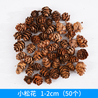 小落叶松花1-2cm (50个) 干花包 云松塔自然松果装饰干花diy手工制作幼儿园挂饰天然摆件森林材料