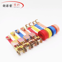 双钩2.5CM宽*0.5米 双钩捆绑带汽车用货物捆扎带收紧带拉紧绳越野车棘轮拉紧器2.5CM