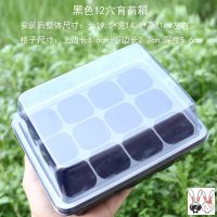 黑色一套12孔 (破损不赔不退) 扦插育苗专用盆育苗盒带盖月季园艺叶插穴盘播种神器营养杯装土