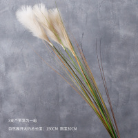 灰色花大芦苇高度150cm(一束包 含三朵花枝) 落地高枝干花仿真花假花枝条卧室客厅橱窗展示高级花束装饰摆件