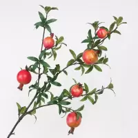 6果红色 石榴干花仿真花石榴果树枝装饰花艺花束摆设客厅假花高枝娟花摆件
