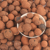 大陶/分装5斤 好吉园艺大陶粒20-40mm大型盆栽绿植天堂鸟龟背竹月季垫底铺面石