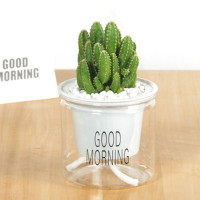 [万重山] 裸根不带土 发财树富贵竹绿萝吊兰芦荟虎皮兰绿植花卉办公室内桌面好养小盆栽