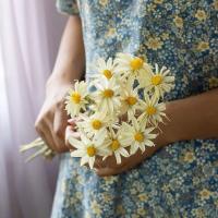 白色雏菊10支 1x1cm 摆拍小物件满天星干花装饰桌面橱窗摆设野餐花篮花束结婚小雏菊