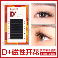 澜琳山茶花嫁接睫毛D+卷电眼芭比娃娃翘种睫毛一秒磁性开花水貂毛