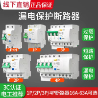 16A 1P+N 公牛漏电保护断路器家用2p63a电闸空开带漏电空调空气开关保安器