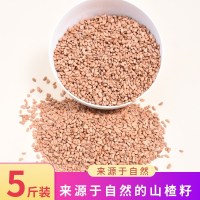 5斤装山楂籽 山楂籽儿童沙滩沙子玩具套装室内散装代替决明子沙池围栏家用玩沙