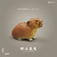 02#野山鼠兔 动物宠物 日本4D拼插野生动物模型儿童玩具日本扭蛋 儿童节礼物