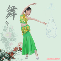 裙款绿色+送头花 100cm 六一傣族儿童孔雀舞蹈练功服演出服练功服少数民族服装女童表演服