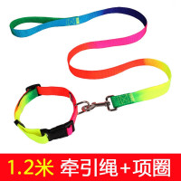 1.2米七彩扁绳+项圈 S码(建议3-8斤) ..狗狗牵引绳中型小型犬狗链子项圈胸背带遛狗绳泰迪萨摩耶宠物-