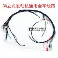 全车线束一根 150CC 250CC大恐龙沙滩车大公牛总成电线线路总成线 带转向灯喇叭