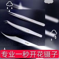 直镊 钛合金镊子嫁接睫毛镊子直镊金羽夹海豚镊子高精密久不累手开花镊