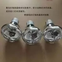 聚光灯泡3个(40瓦) 芦丁鸡保温灯孵化取暖晒烤灯鹦鹉灯泡保温箱背灯小鸡高温专用保暖