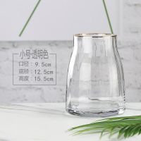 1315透明色[描金口]一级品小号 玻璃瓶设计感小花瓶高级感客厅插花轻奢高档摆件插花现代简约器皿