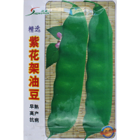 10包以上批发价格12元 紫花架油豆/100克 紫花架油豆种子 蔬菜种子油豆种子 豆角种子开锅烂扁芸豆春季秋播