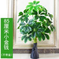 0.85米小金钱+草坪 仿生绿植发财树金钱树室内造景装饰大型落地盆栽仿真植物绿植摆设