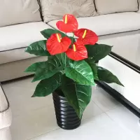 4头红掌(含盆)80公分 假树滴水观音仿真植物落地盆栽大型客厅盆景假花塑料花艺装饰绿植