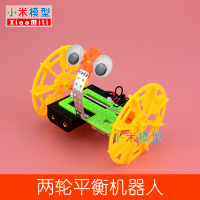 两轮平衡机器人 两轮平衡机器人 DIY科技小发明小制作手工儿童创意电动玩具材料包