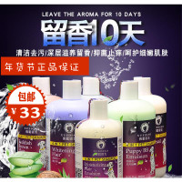 雪貂金色毛专用(500ml) 狗狗雪貂沐浴露金毛泰迪萨摩耶杀菌除臭洗澡香波液 猫狗幼犬通用